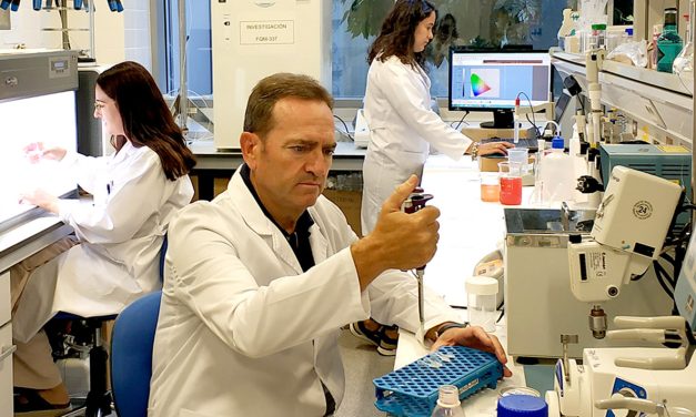 Investigadores de la EPS de Linares sustituyen con éxito colorantes artificiales por compuestos naturales en diferentes bebidas