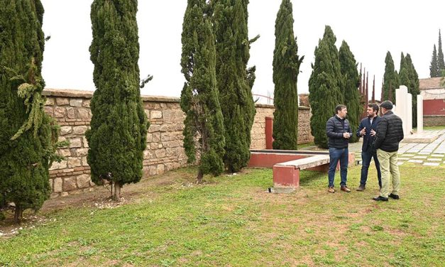 Patio de San Diego: el muro derrumbado por la arboleda ya está reparado
